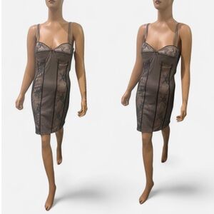 Rinascimento nude and Gray Elegant Lace Design dress S